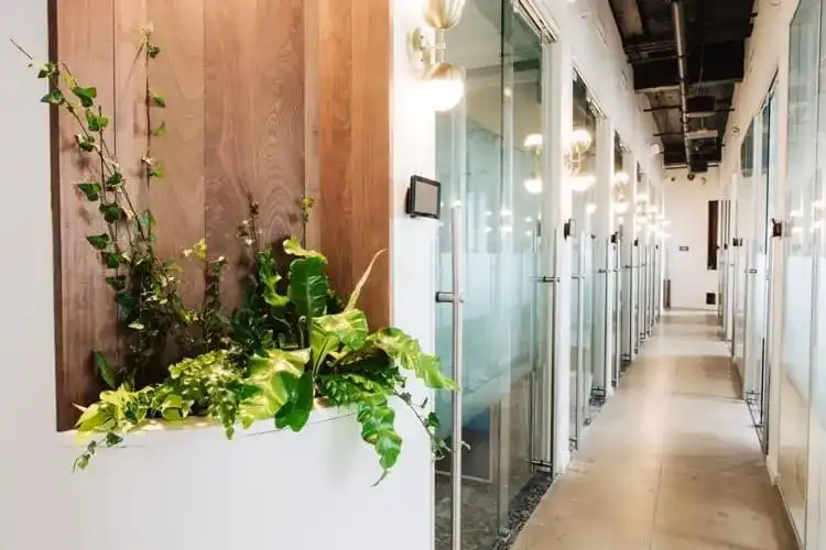 This image is of Screenly in a co-working environment.